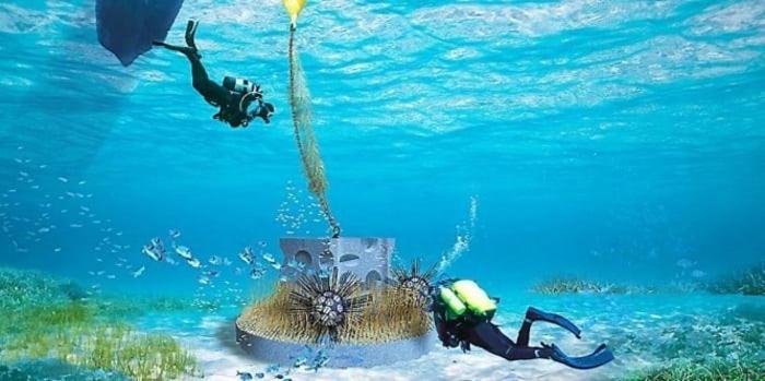 Cap To Sea Eureka A 200 M Centre Naturiste Agde Εξωτερικό φωτογραφία